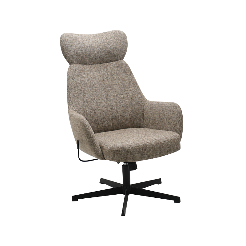 Living Room Leisure Lounge Chair 